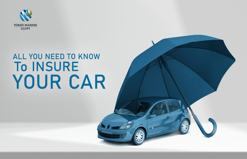 Automobile Insurance: What You Need to Know
